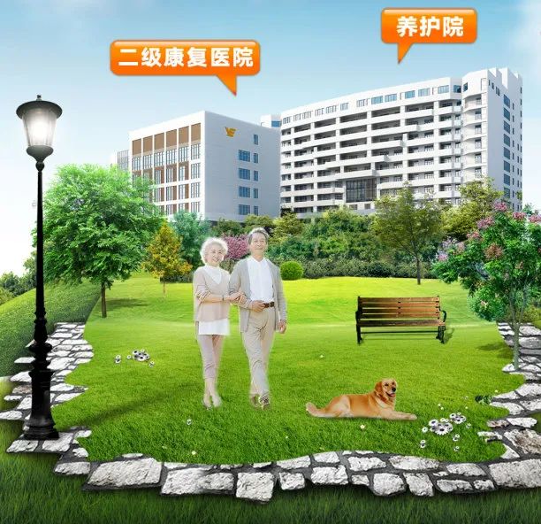 二月二龙抬头| 按下“复工键”的海樾荟,万物复苏 二月二龙抬头| 按下“复工键”的海樾荟,万物复苏